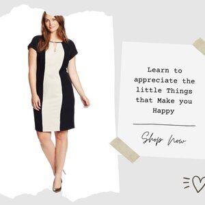 NWOT  - "Flattering Style: A-Line Color Block Dress in Black and Tan"
